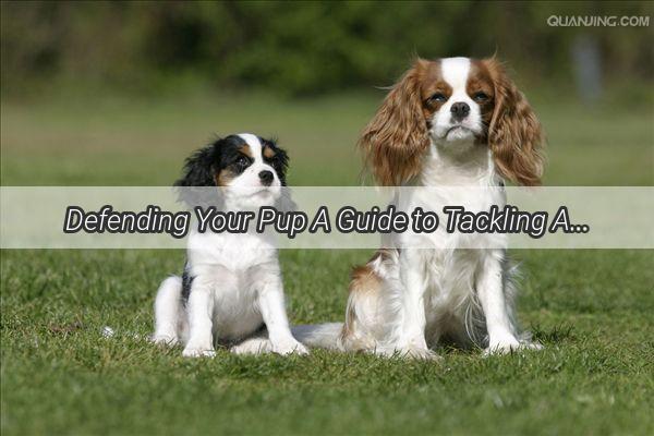 Defending Your Pup A Guide to Tackling Aggressive Dogs Like a Pro